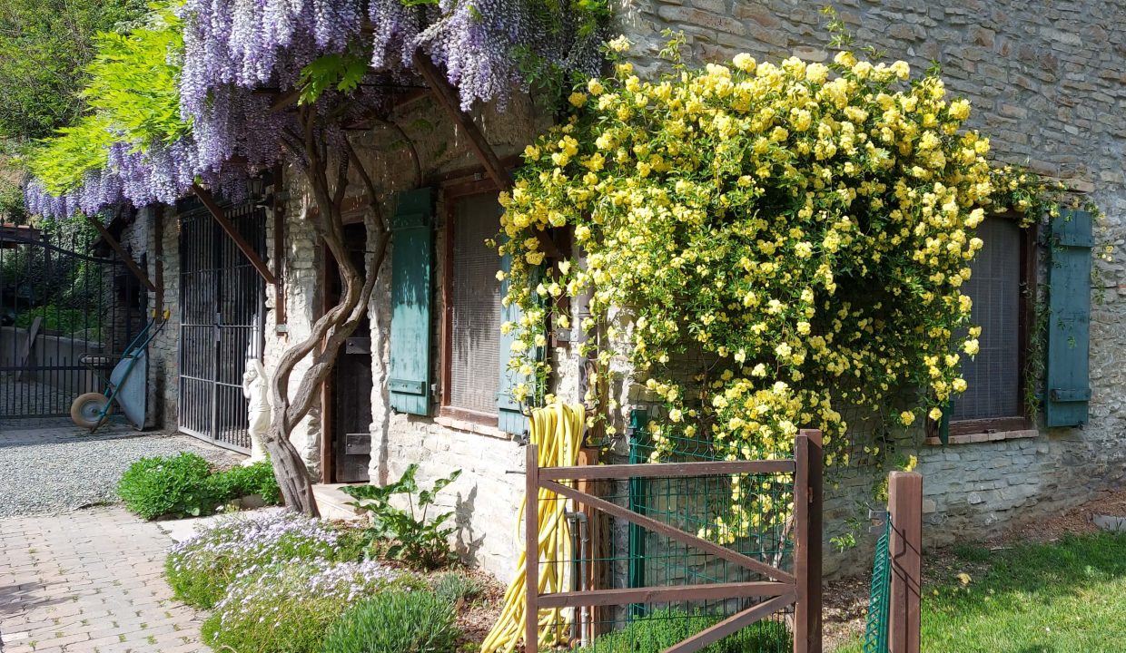 CP-1638_canelli_cassinasco_unesco_barbera_fabiana_elianne_monferrato_caseinpiemonte_realestate_forest_woods (10)