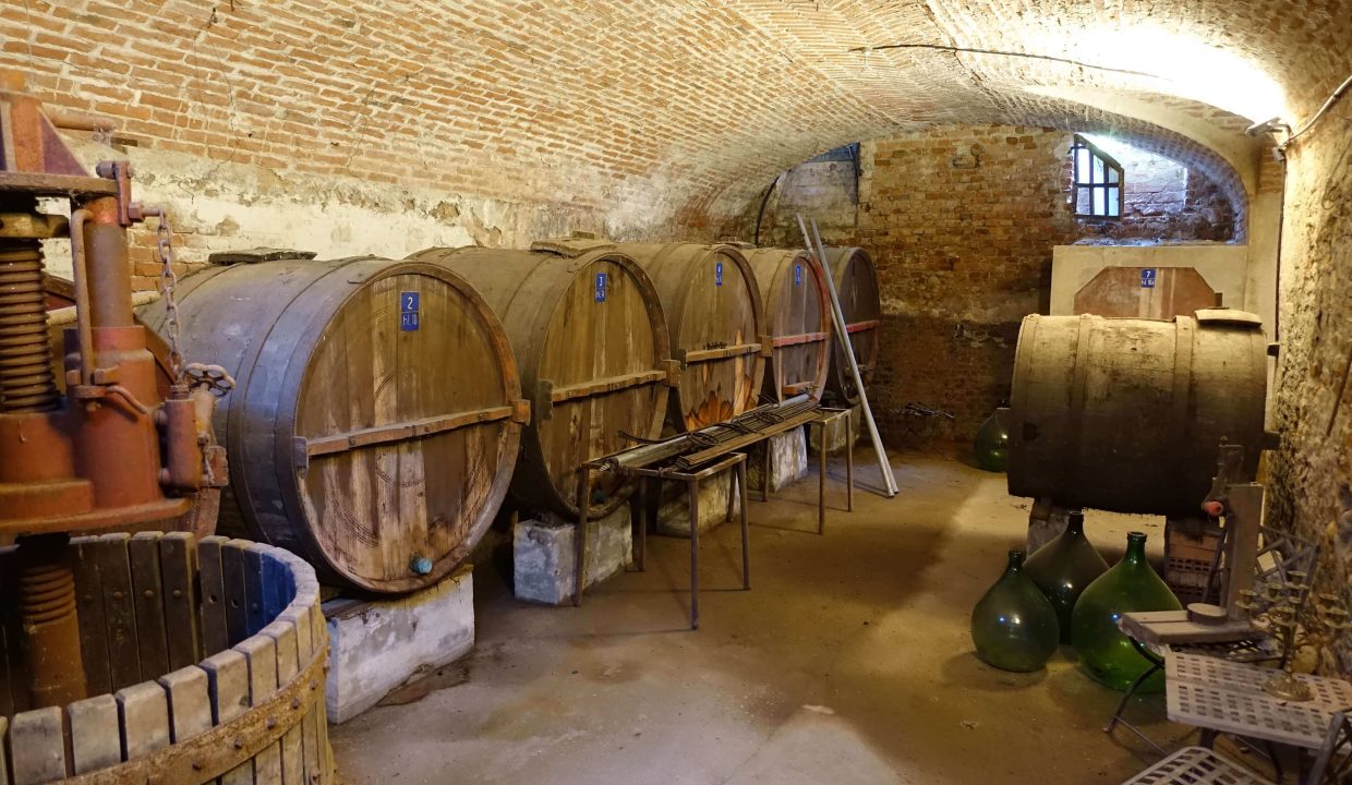 CaseinPiemonte_Antignano_Monferrato_immobiliare_CP-1643.jpg08684