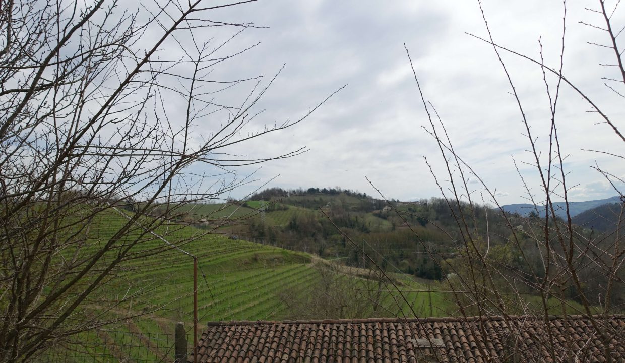 CaseinPiemonte_Canelli_Monferrato_UNESCO_Villa_Luxury_CP1640-03-27 13.06.27