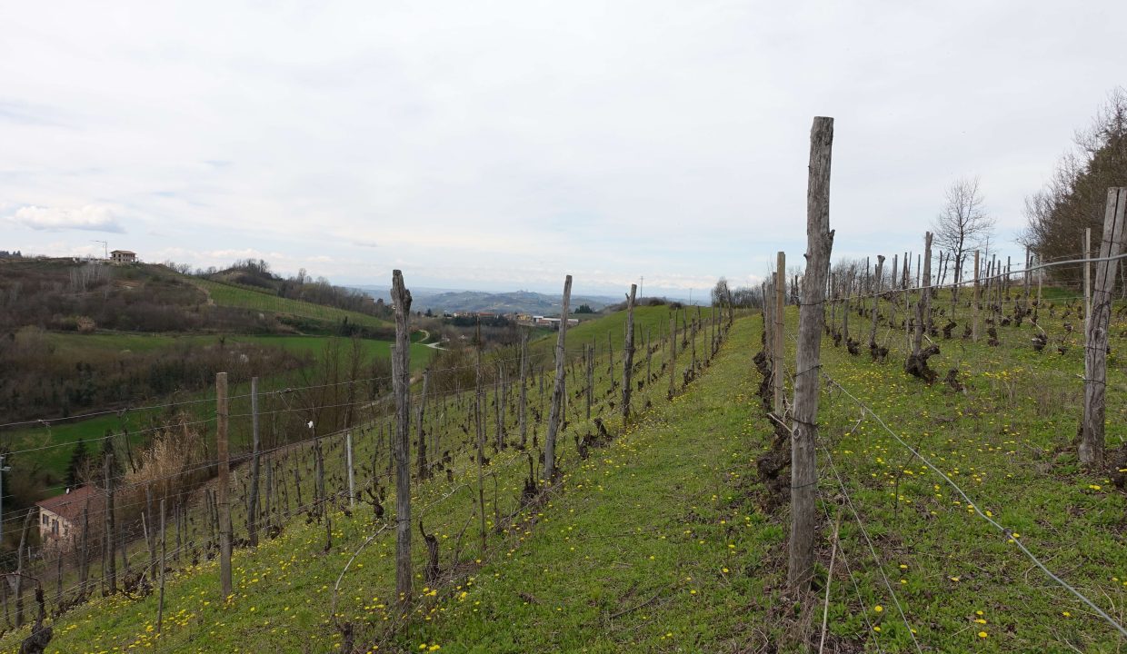 CaseinPiemonte_Canelli_Monferrato_UNESCO_Villa_Luxury_CP1640-03-27 13.29.05