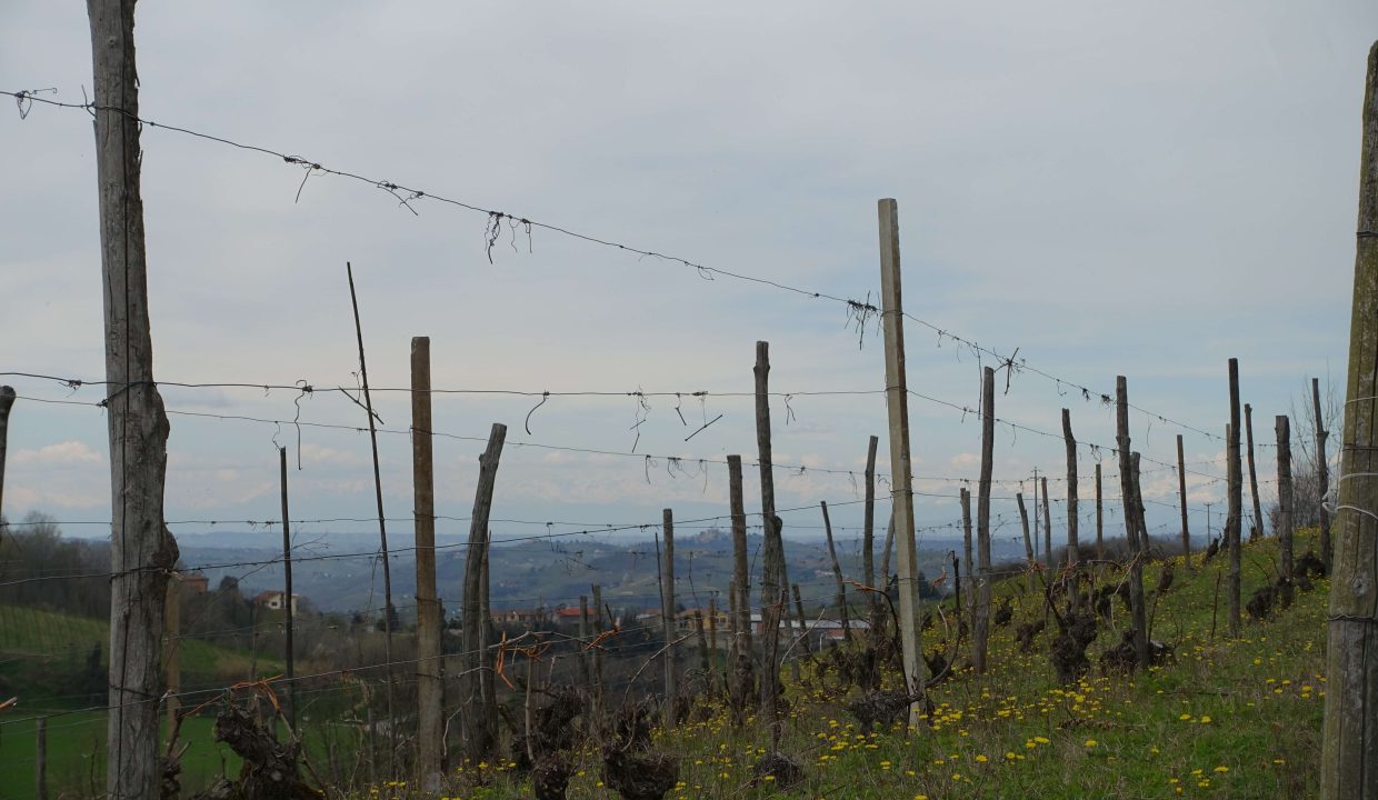CaseinPiemonte_Canelli_Monferrato_UNESCO_Villa_Luxury_CP1640-03-27 13.29.57