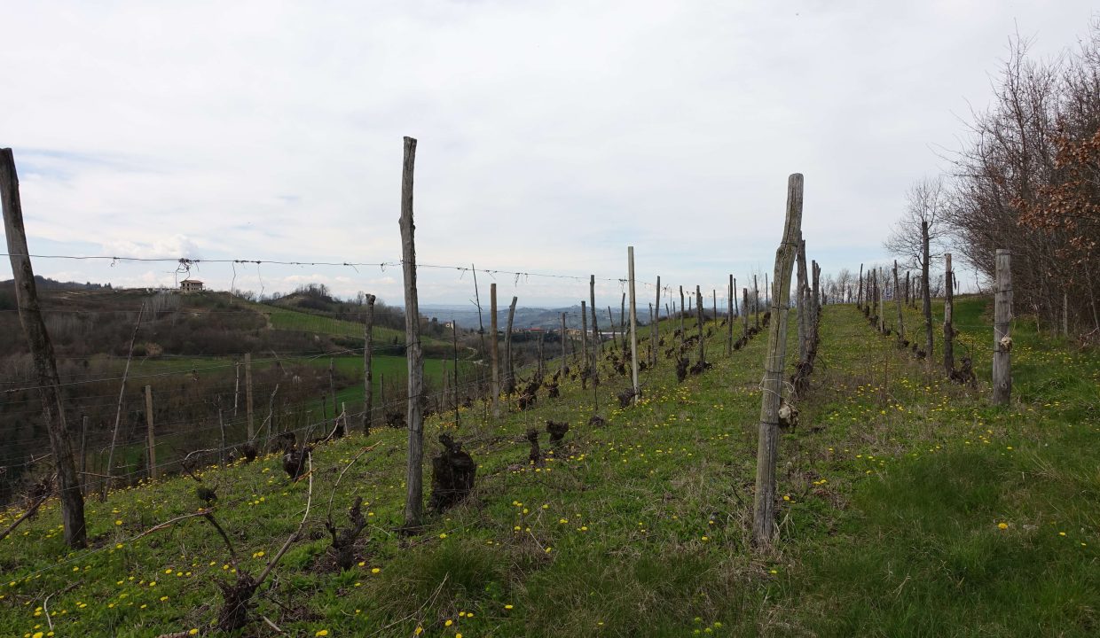 CaseinPiemonte_Canelli_Monferrato_UNESCO_Villa_Luxury_CP1640-03-27 13.30.53