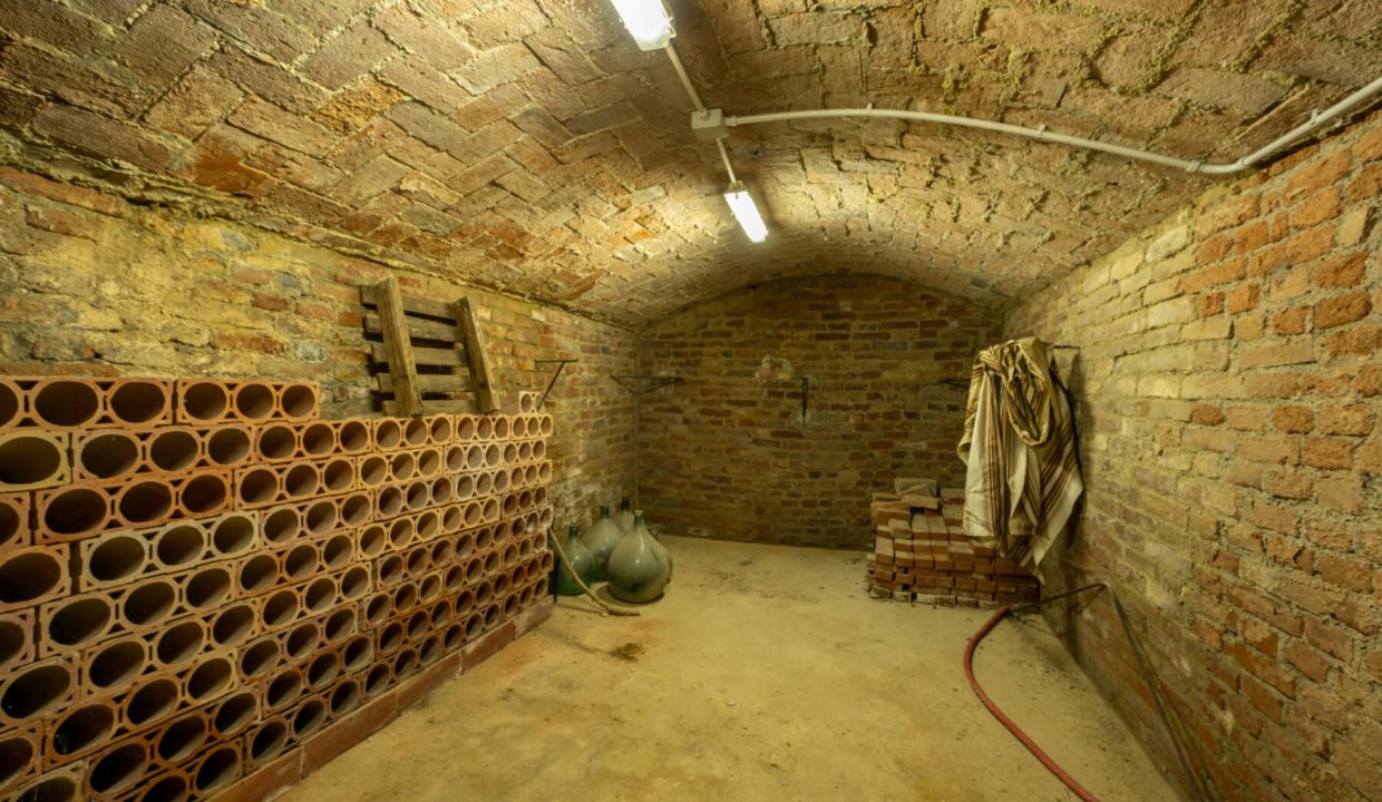 CaseinPiemonte_Cortanze_Monferrato_immobiliare_Barbera_cp-1658.jpg_9455