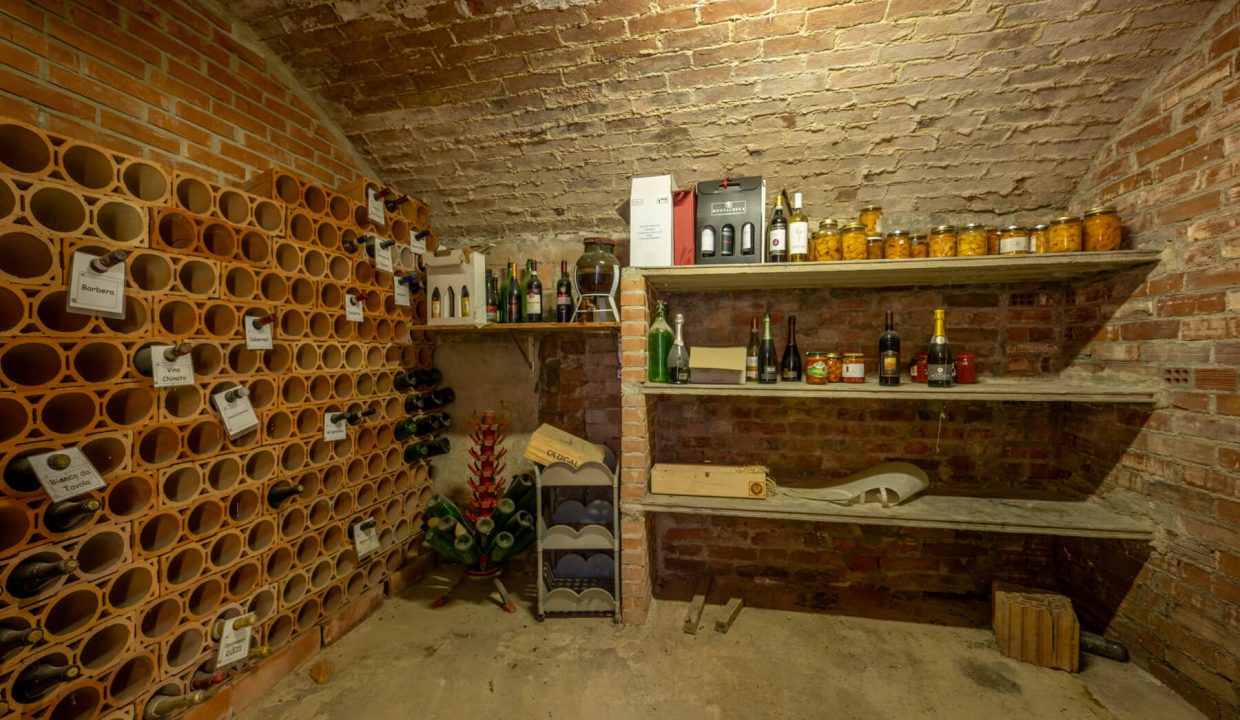 CaseinPiemonte_Cortanze_Monferrato_immobiliare_Barbera_cp-1658.jpg_9458