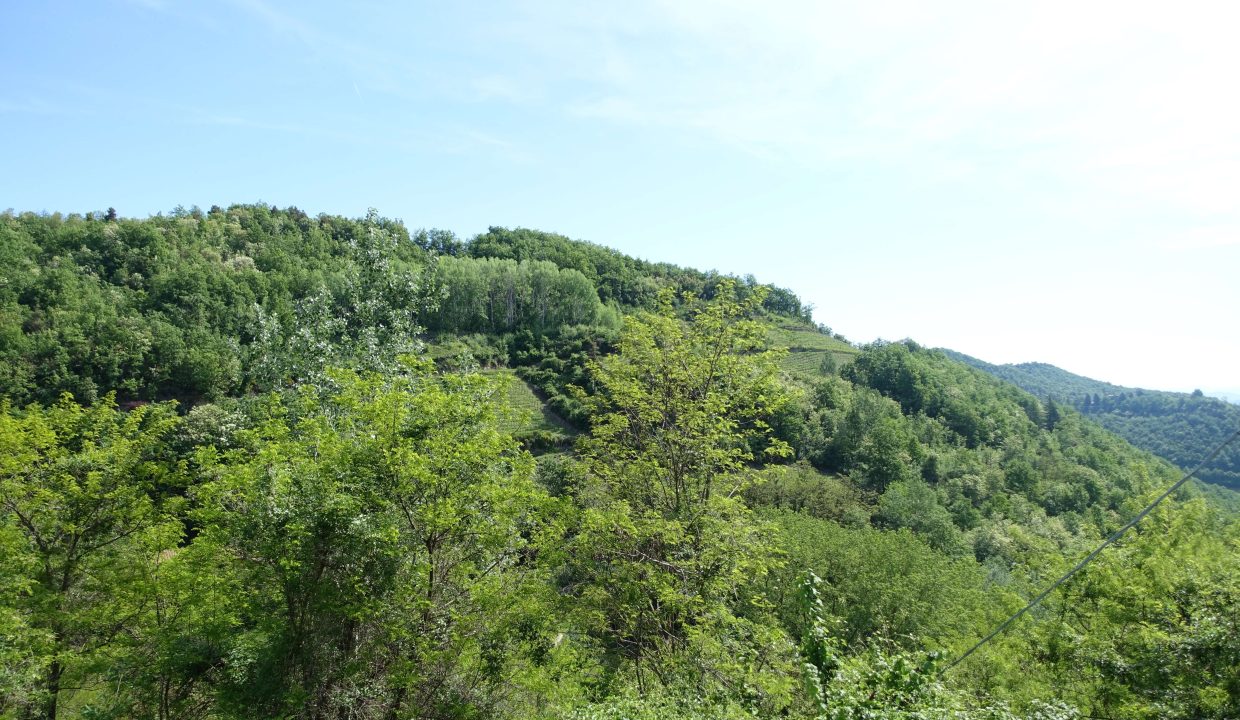 CaseinPiemonte_Loazzolo_Monferrato_Barbera_cp-1653.jpg07961