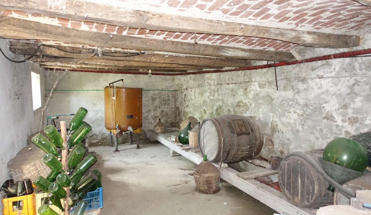 CaseinPiemonte_Loazzolo_Monferrato_Barbera_cp-1653.jpg08019