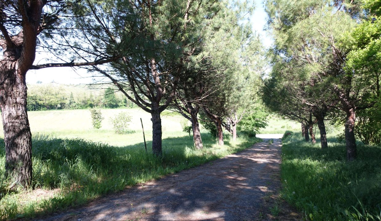 CaseinPiemonte_NizzaMonferrato_Monferrato_immobiliare_Barbera_cp-1655.jpg07945