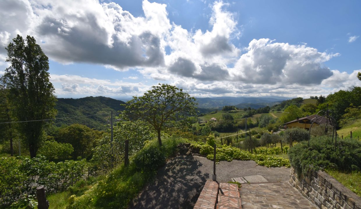 CaseinPiemonte_Roncogennaro_Bistagno_Monferrato_immobiliare_Barbera_cp-1658.jpg_3959