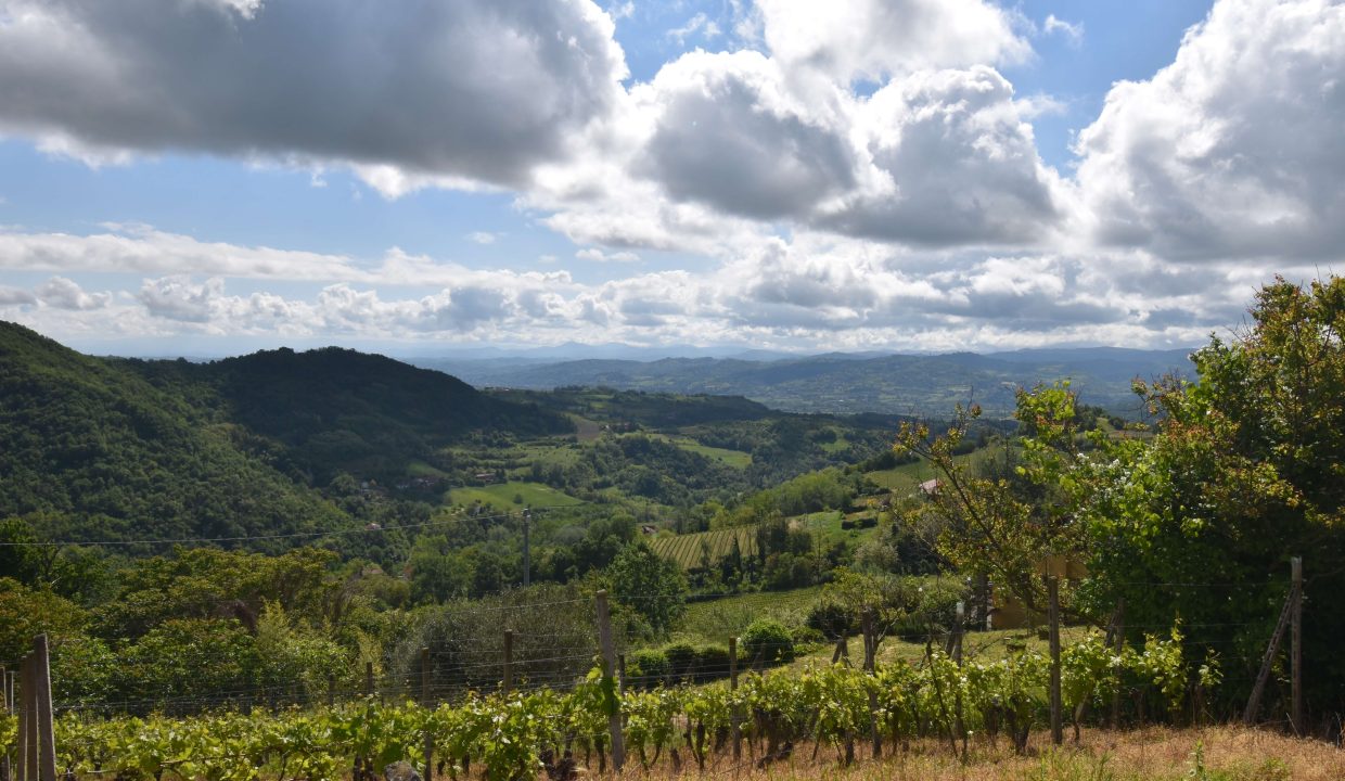 CaseinPiemonte_Roncogennaro_Bistagno_Monferrato_immobiliare_Barbera_cp-1658.jpg_3968