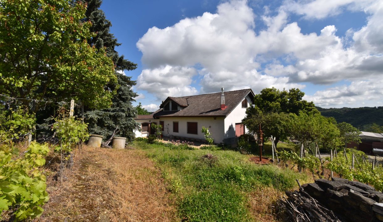 CaseinPiemonte_Roncogennaro_Bistagno_Monferrato_immobiliare_Barbera_cp-1658.jpg_3971