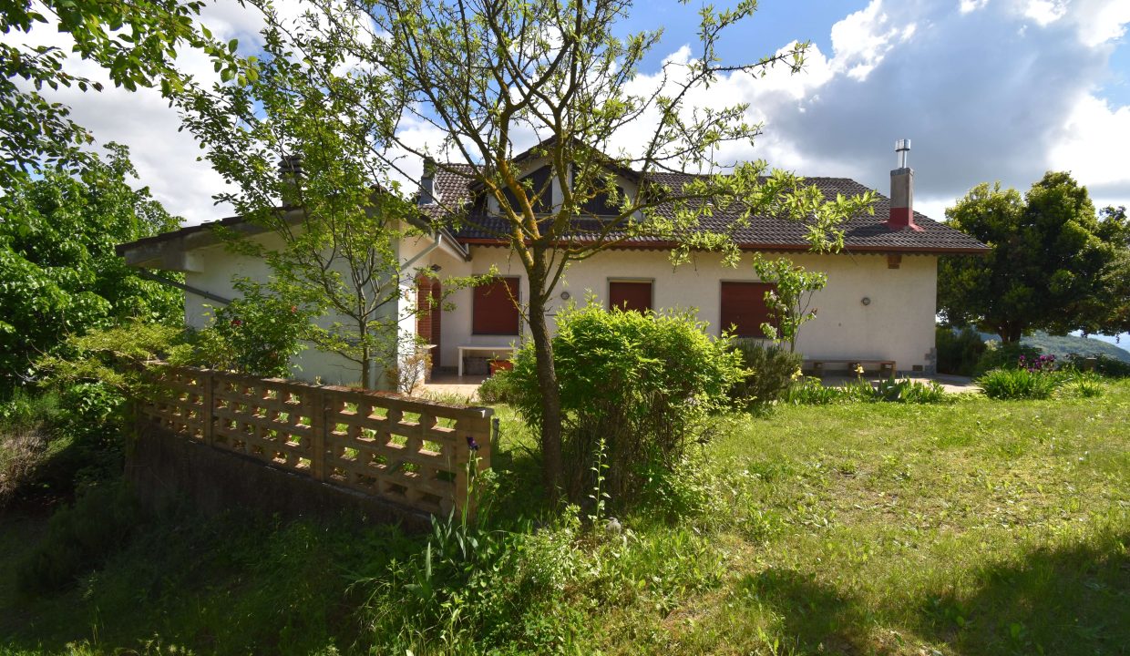 CaseinPiemonte_Roncogennaro_Bistagno_Monferrato_immobiliare_Barbera_cp-1658.jpg_3984