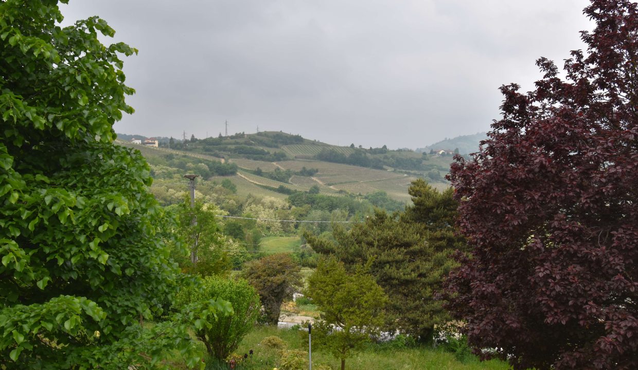CaseinPiemonte_Roncogennaro_Bistagno_Monferrato_immobiliare_Barbera_cp-1658.jpg_4078