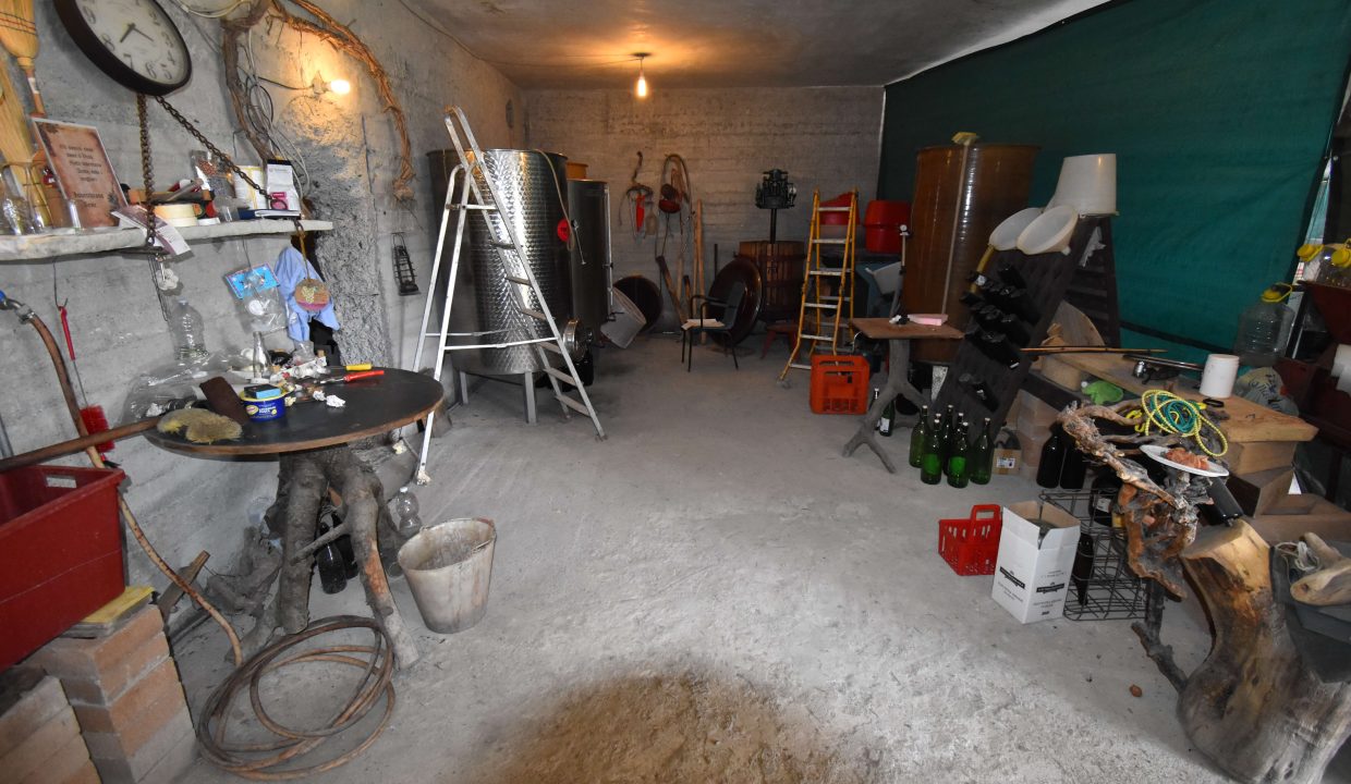 CaseinPiemonte_Roncogennaro_Bistagno_Monferrato_immobiliare_Barbera_cp-1658.jpg_4169