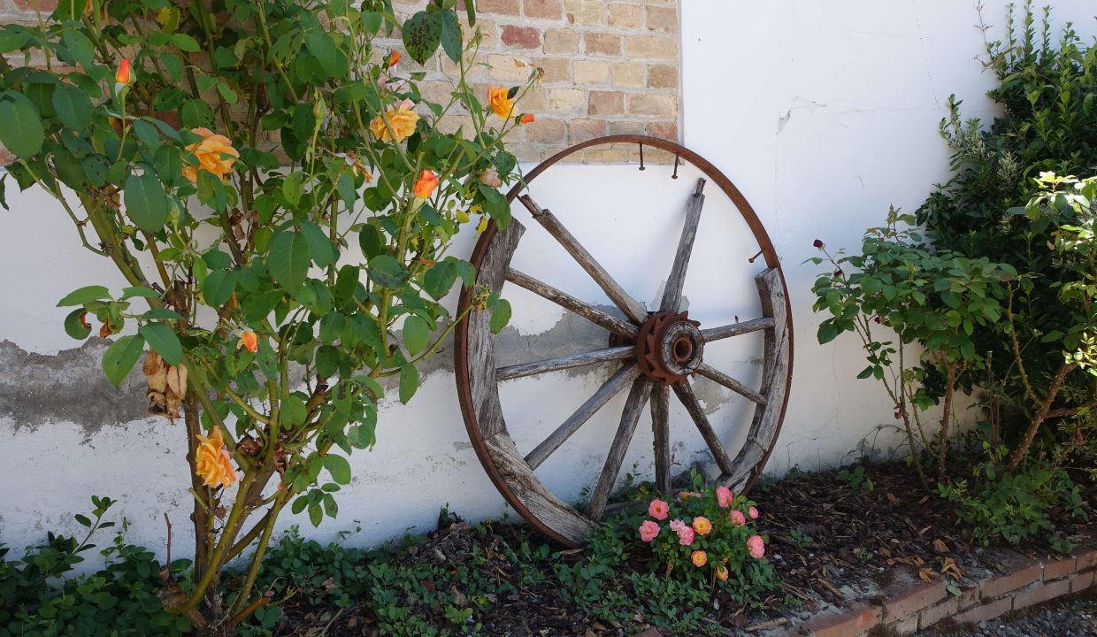 case-in-piemonte-piemonte-properties-real-estate-eli-anne-fabiana- 1657 (22)