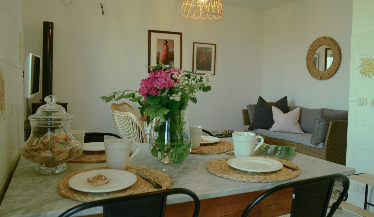 CaseinPiemonte_Calamandrana_Monferrato_immobiliare_Barbera_CM-1669.jpg_8876