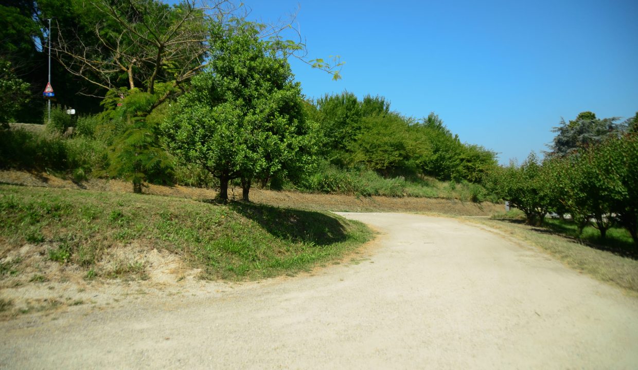 CaseinPiemonte_Roero_MaglianoAlfieri_immobiliare_Arneis_CP-1667.jpg_8606