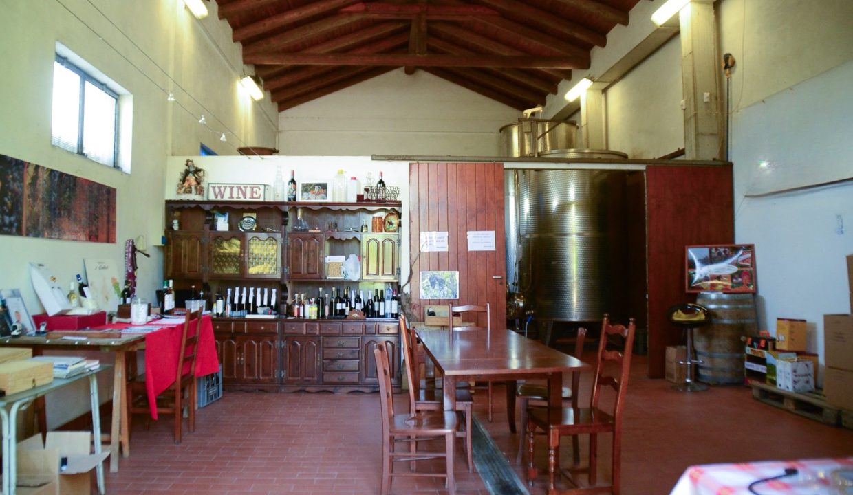 CaseinPiemonte_Roero_MaglianoAlfieri_immobiliare_Arneis_CP-1667.jpg_8608