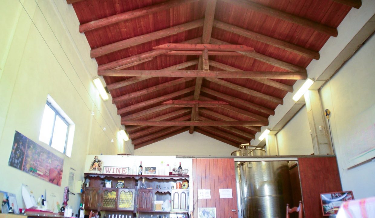 CaseinPiemonte_Roero_MaglianoAlfieri_immobiliare_Arneis_CP-1667.jpg_8609