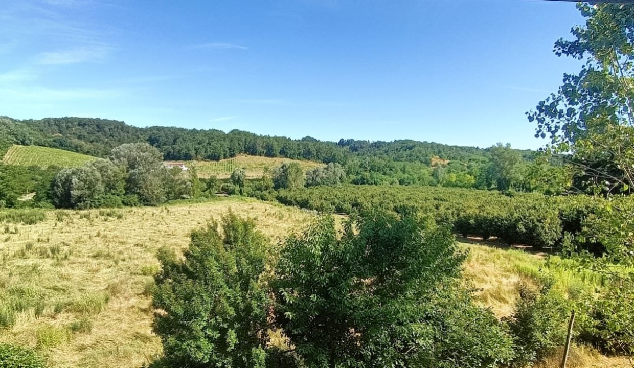 WhatsApp Image 2025-07-09 at 12.05.25 (1)