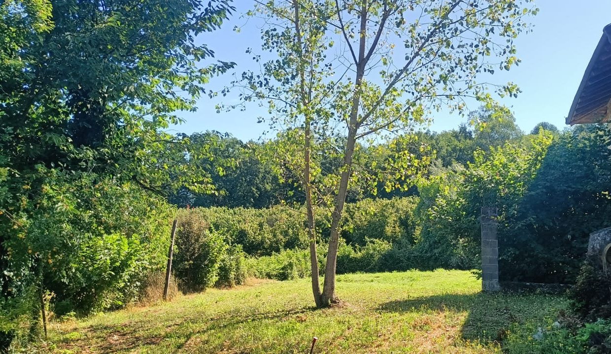 WhatsApp Image 2025-07-09 at 12.05.25