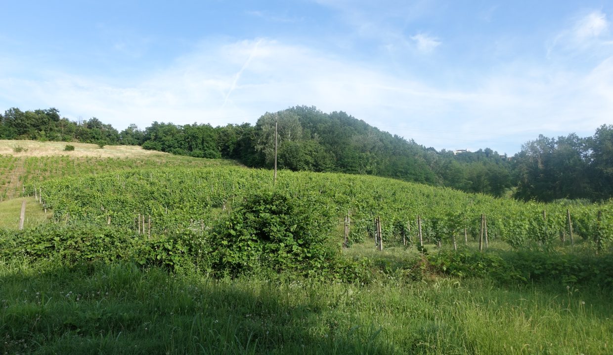 case-in-piemonte-piedmont-properties-real-estate-eli-anne-fabiana-1668 (13)