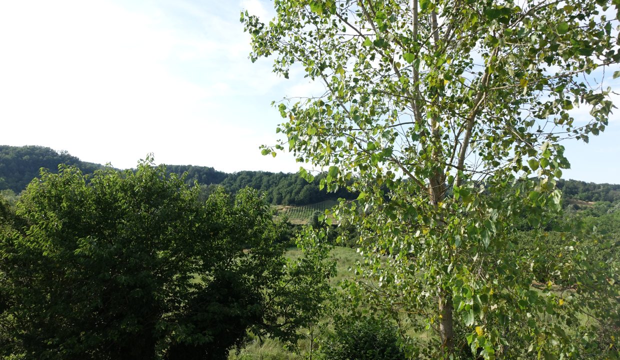 case-in-piemonte-piedmont-properties-real-estate-eli-anne-fabiana-1668 (9)