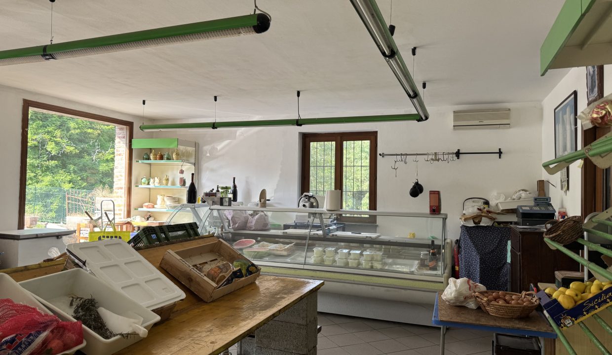 40CaseinPiemonte_Meina_immobiliare_CP-1676