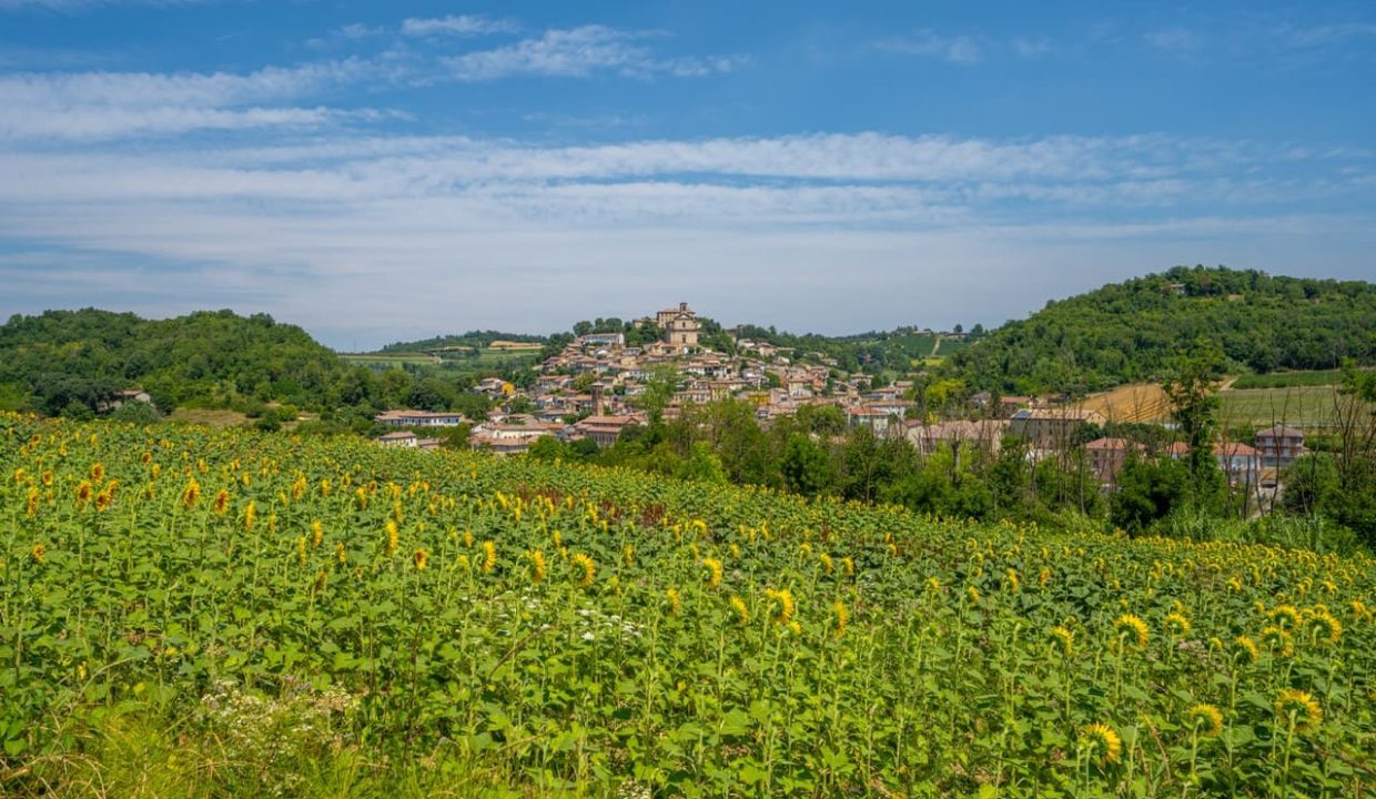 CaseinPiemonte_Ottiglio_Monferrato_immobiliare_CP-1674.jpg_1363 Large