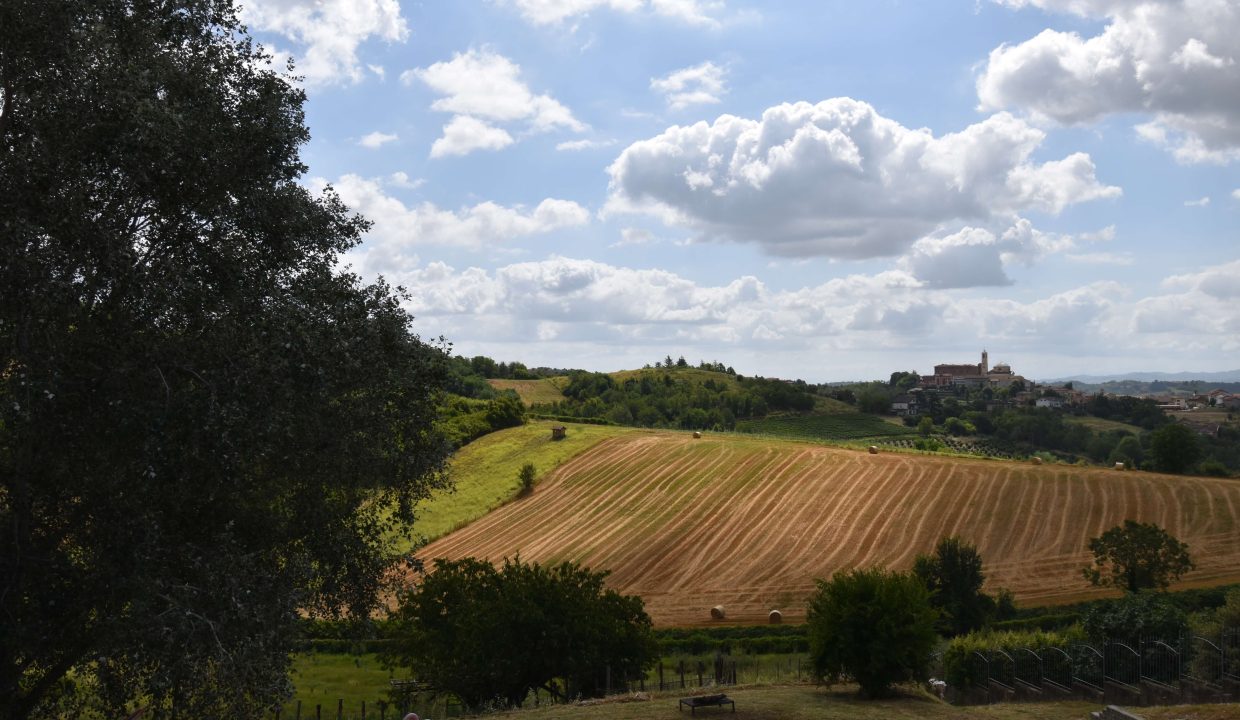 CaseinPiemonte_Viglianod'Asti_Monferrato_Immobiliare_barbera_cm-1679.jpg_0347