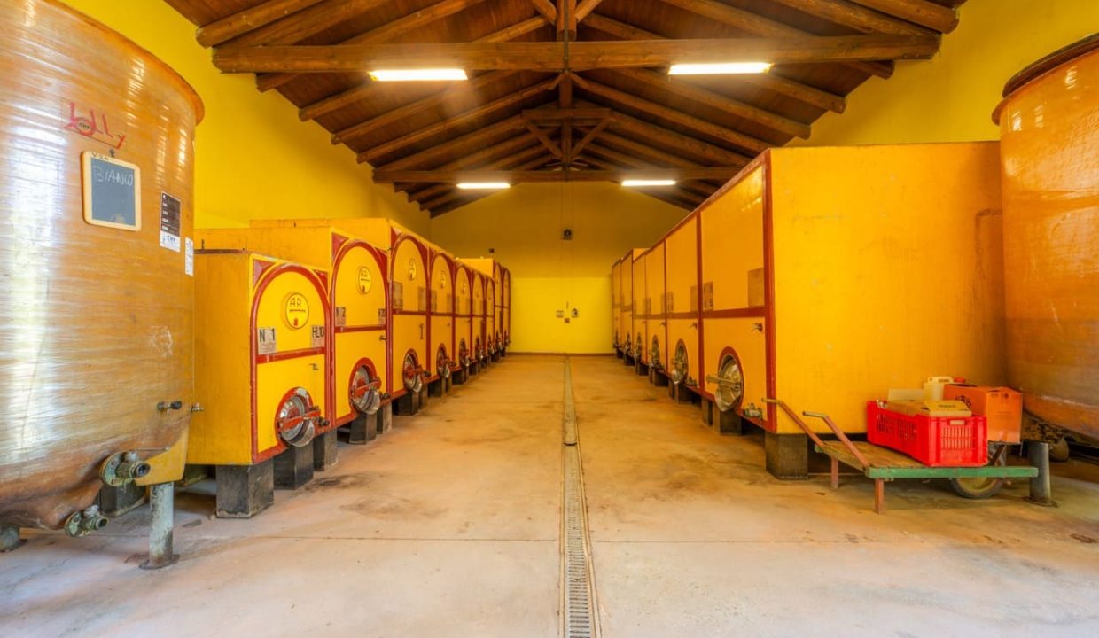 caseinpiemonte_sandamianodasti_roero_barbera_nebbiolo_pool_cascina_bb_cl-1684_1050 Large