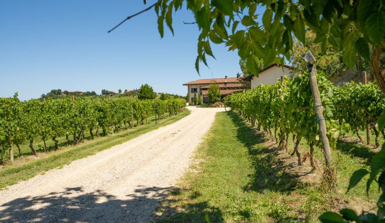 caseinpiemonte_sandamianodasti_roero_barbera_nebbiolo_pool_cascina_bb_cl-1684_1065 Large