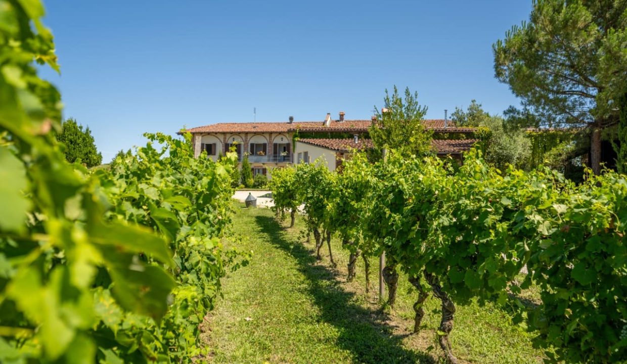 caseinpiemonte_sandamianodasti_roero_barbera_nebbiolo_pool_cascina_bb_cl-1684_1079 Large