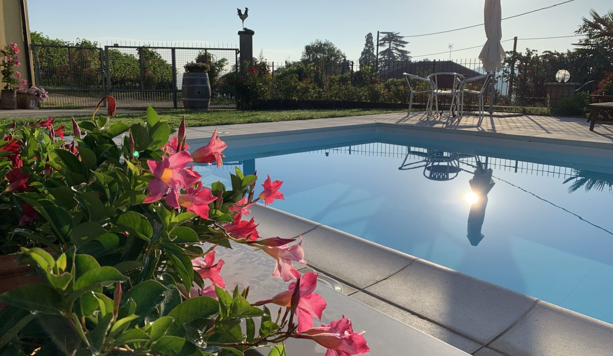 CaseinPiemonte_AglianoTerme_Monferrato_Immobiliare_barbera_cm-1687.jpg_1744