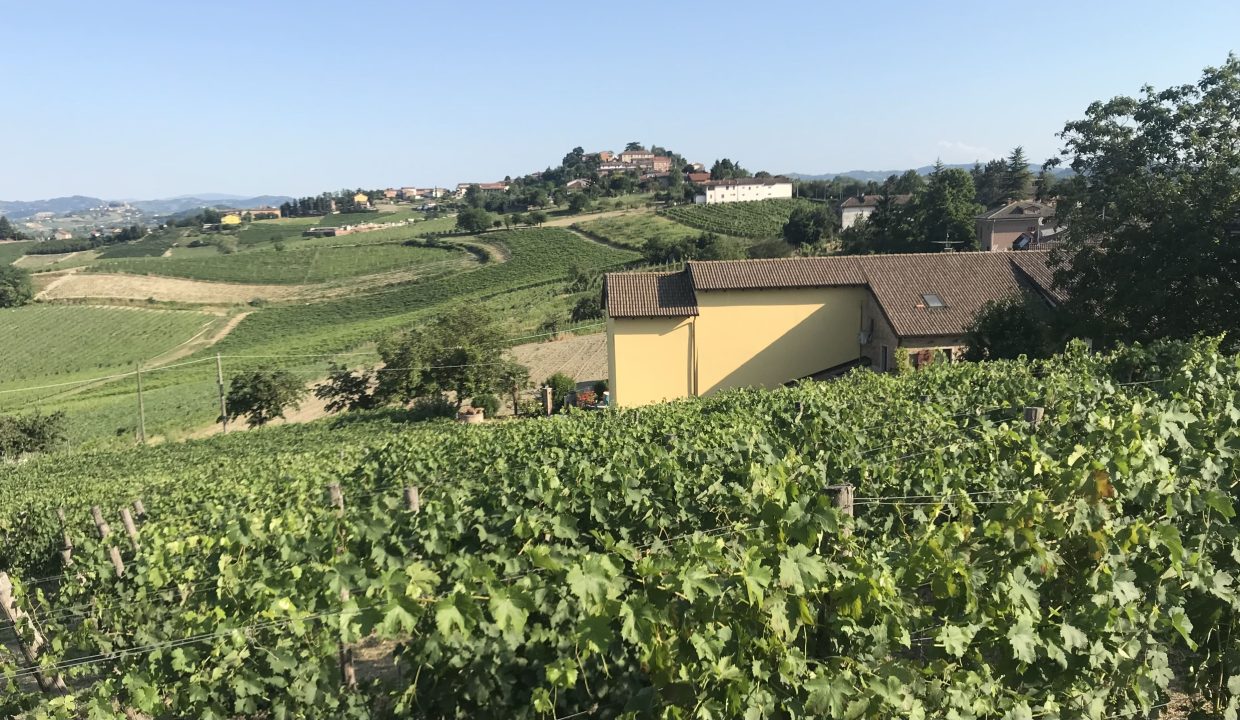 CaseinPiemonte_AglianoTerme_Monferrato_Immobiliare_barbera_cm-1687.jpg_4587