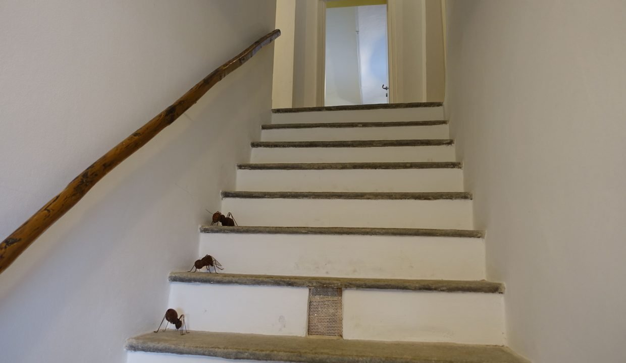 CaseinPiemonte_AglianoTerme_Monferrato_Immobiliare_barbera_cm-168709109