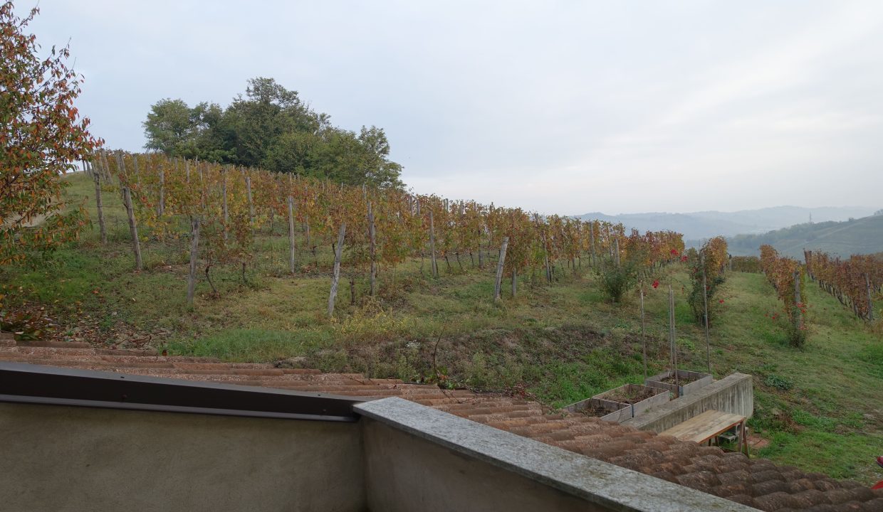 CaseinPiemonte_AglianoTerme_Monferrato_Immobiliare_barbera_cm-168709131