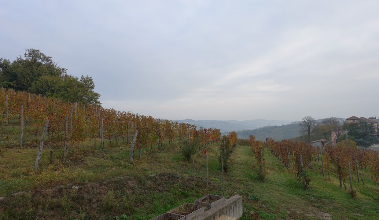 CaseinPiemonte_AglianoTerme_Monferrato_Immobiliare_barbera_cm-168709132