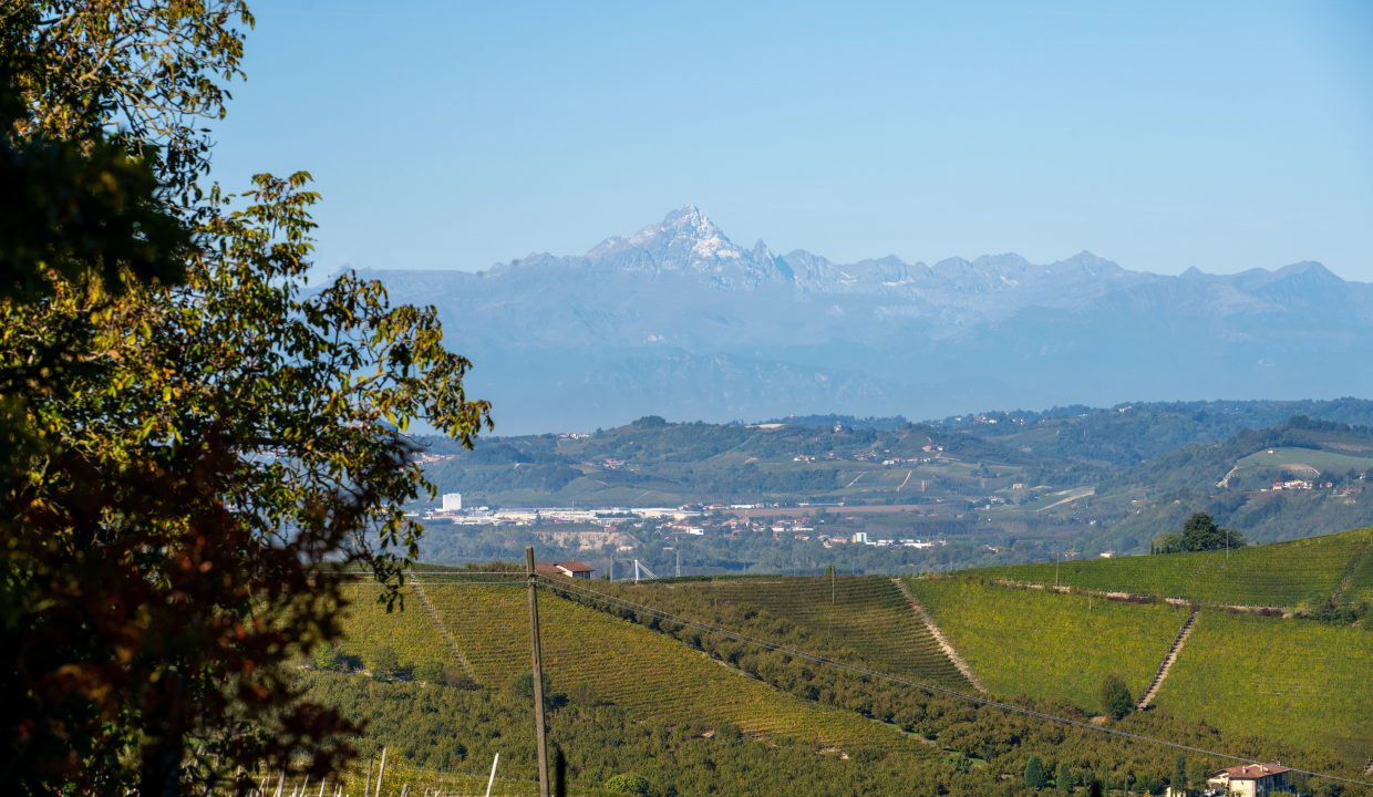 CaseinPiemonte_Barbaresco_TreStelle_Langhe_Immobiliare_barbaresco_nebbiolo_cl-1685_2050