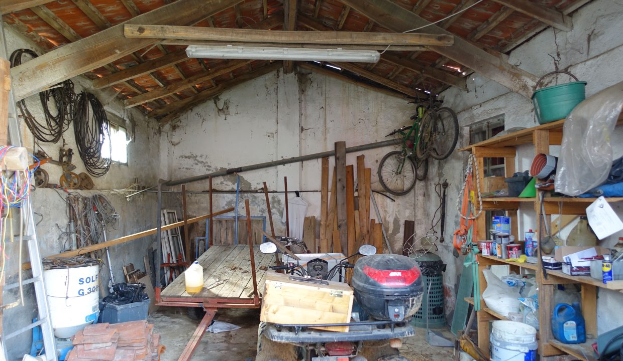 CaseinPiemonte_Maranzana_Monferrato_Immobiliare_barbera_cp-1690.jpg09074