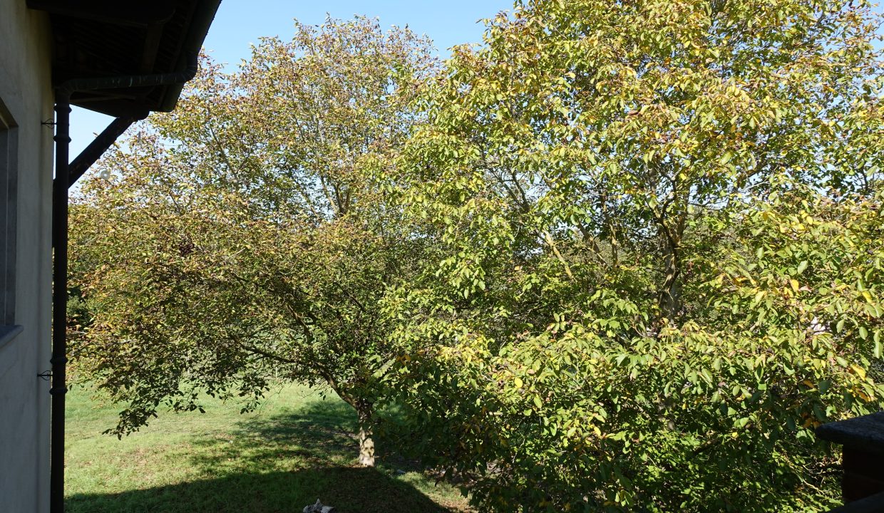 caseinpiemonte_canelli_home_monferrato_barbera_piemonte_cp-168608888