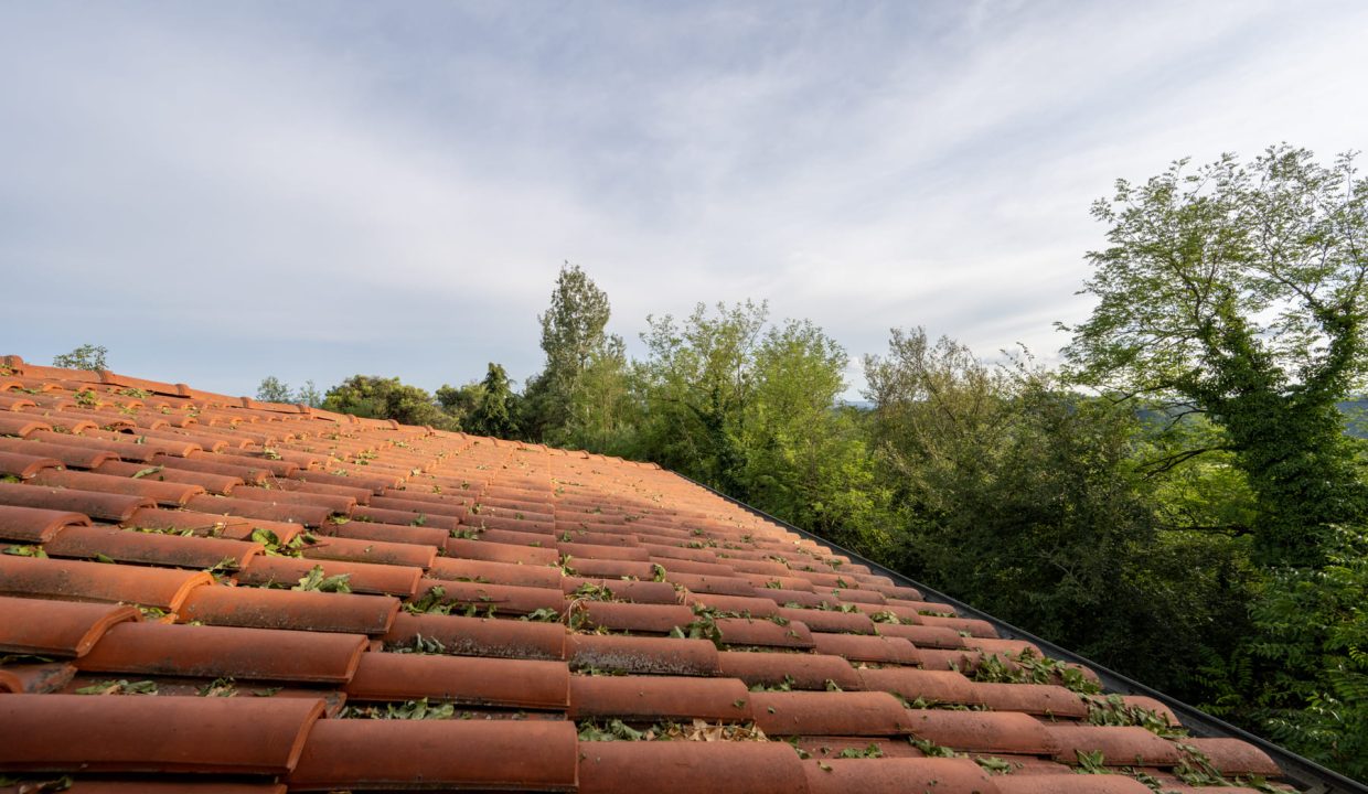 CL-1697_SommarivaPerno_fabiana_elianne_unesco_roero_piemonte_alba.jpg_1380