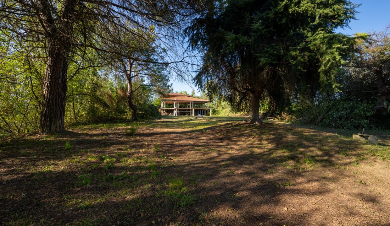 CL-1697_SommarivaPerno_fabiana_elianne_unesco_roero_piemonte_alba.jpg_1734