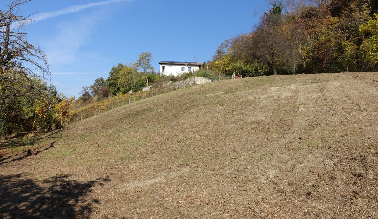 CaseinPiemonte_Calamandrana_Monferrato_immobiliare_barbera_cp-169309193