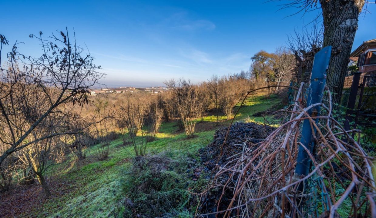 CL-1704_SanMartinoAlfieri_fabiana_elianne_unesco_roero_piemonte.jpg_SanMartinoAlfieri_fabiana_elianne_unesco_roero_piemonte.jpg_2940 Large