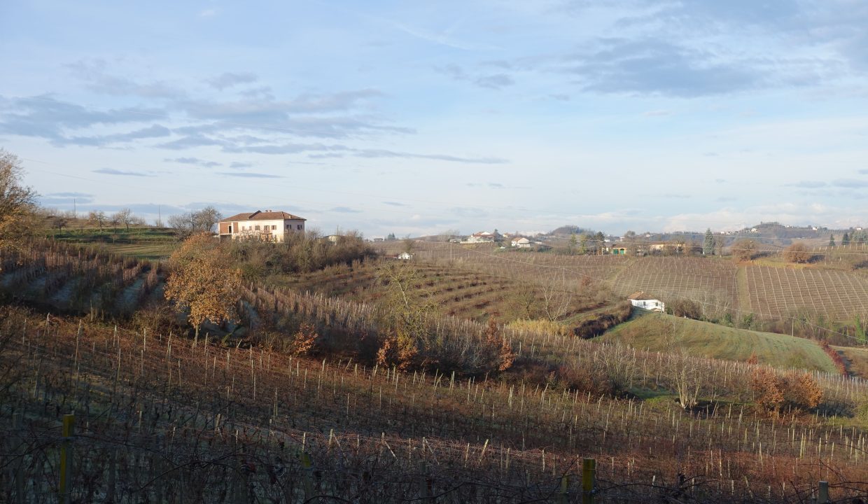 CP-1701_NizzaMonferrato_fabiana_elianne_unesco_monferrato_barbera_piemonte.jpg09553