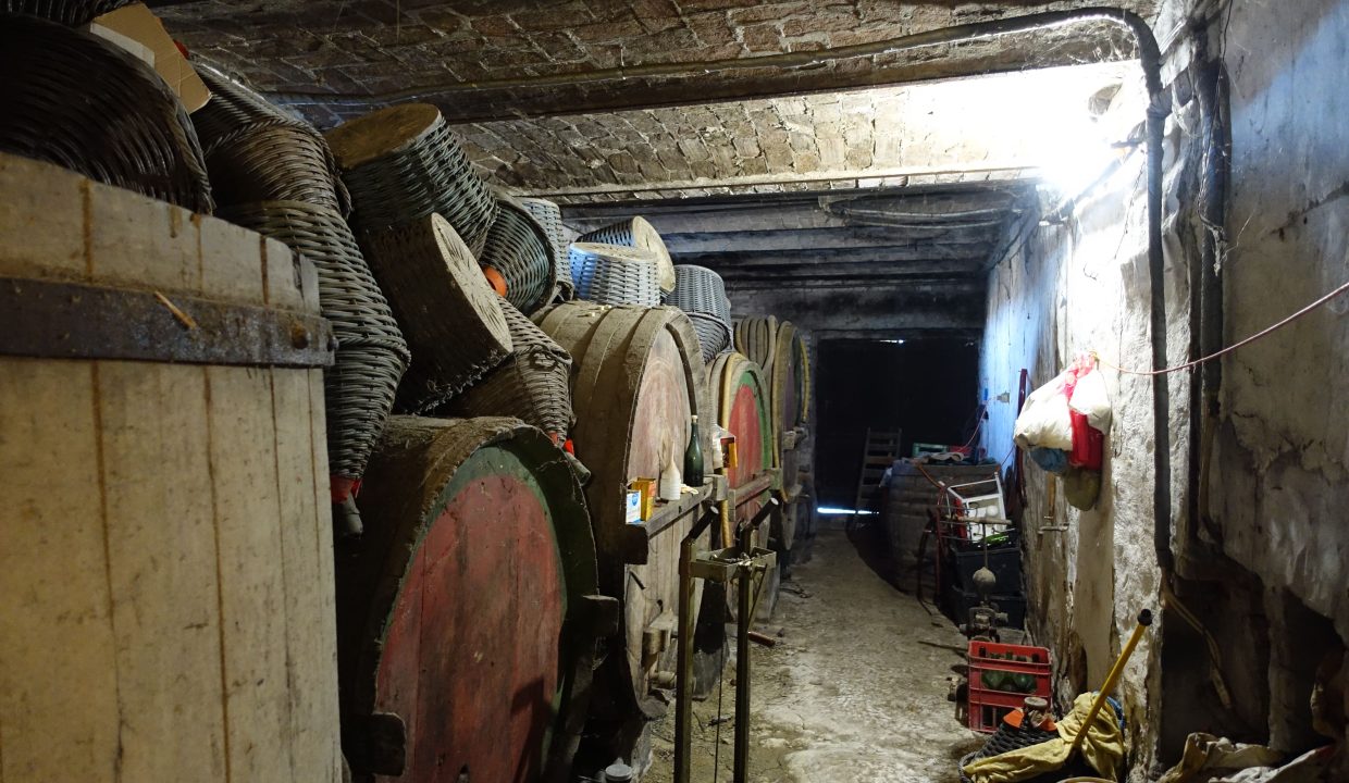 CP-1701_NizzaMonferrato_fabiana_elianne_unesco_monferrato_barbera_piemonte.jpg09512