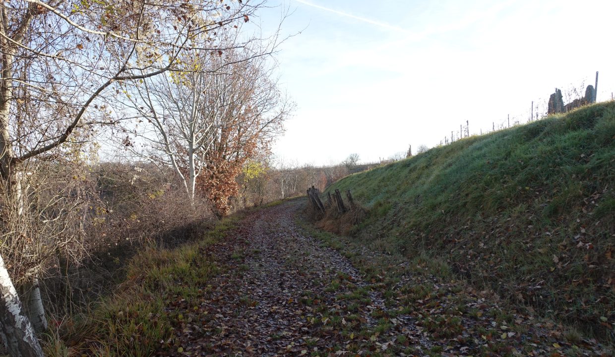 CP-1701_NizzaMonferrato_fabiana_elianne_unesco_monferrato_barbera_piemonte.jpg09552