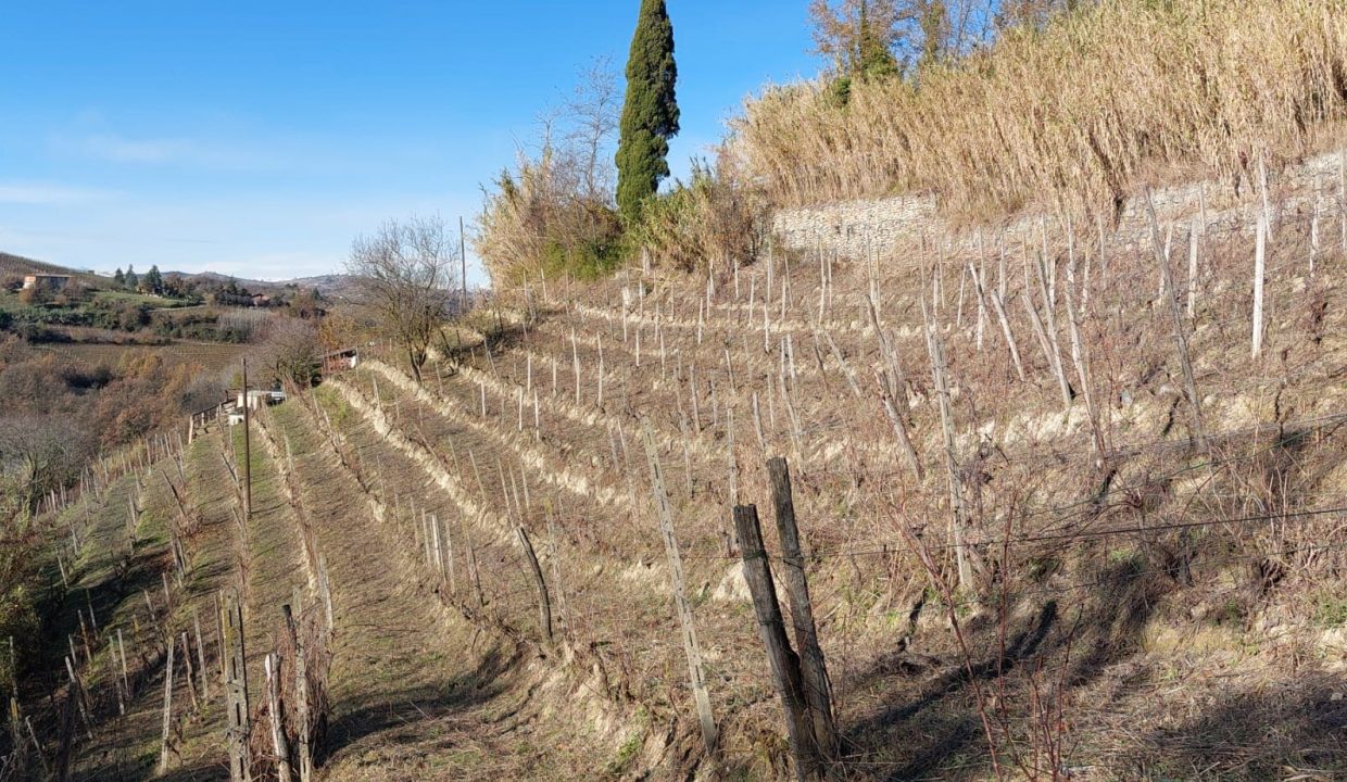 CP-1702_Canelli_fabiana_elianne_unesco_monferrato_barbera_piemonte.jpg Image 2025-11-26 at 11.09.13 (1)