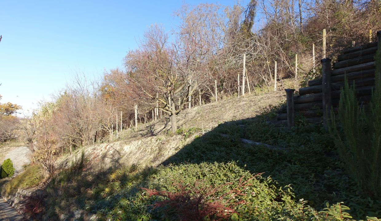 CP-1702_Canelli_fabiana_elianne_unesco_monferrato_barbera_piemonte.jpg09455