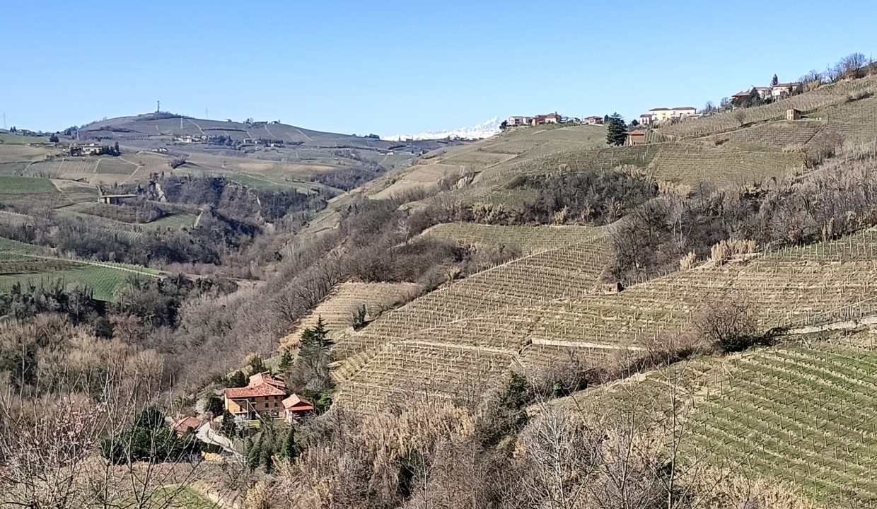 CP-1703_Valdivilla_fabiana_elianne_unesco_monferrato_barbera_piemonte.jpg march (1)